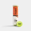 FORT CLAY COURT 4PET